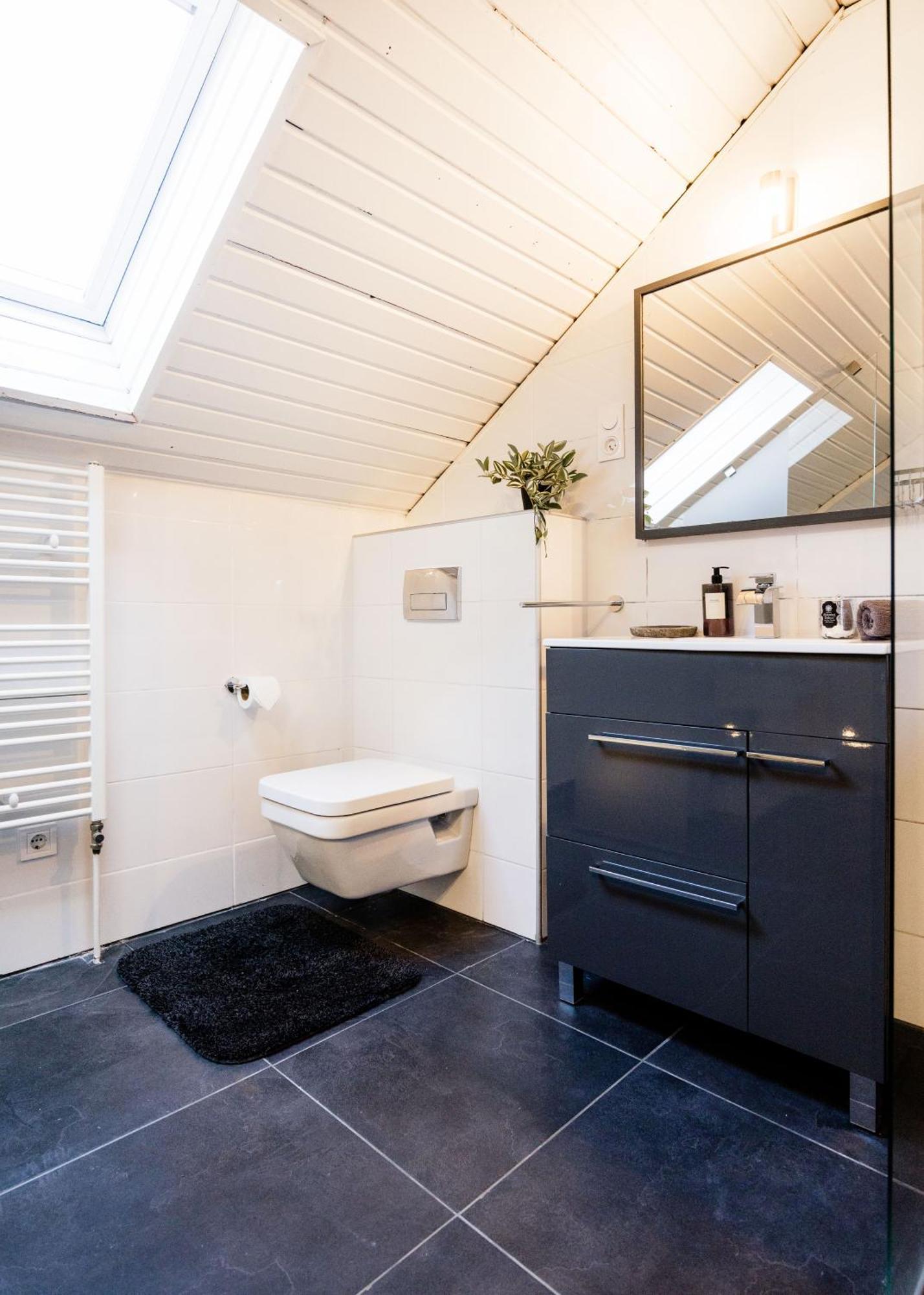 Historic Penthouse With Sauna & Jacuzzi @downtown Lejlighed *